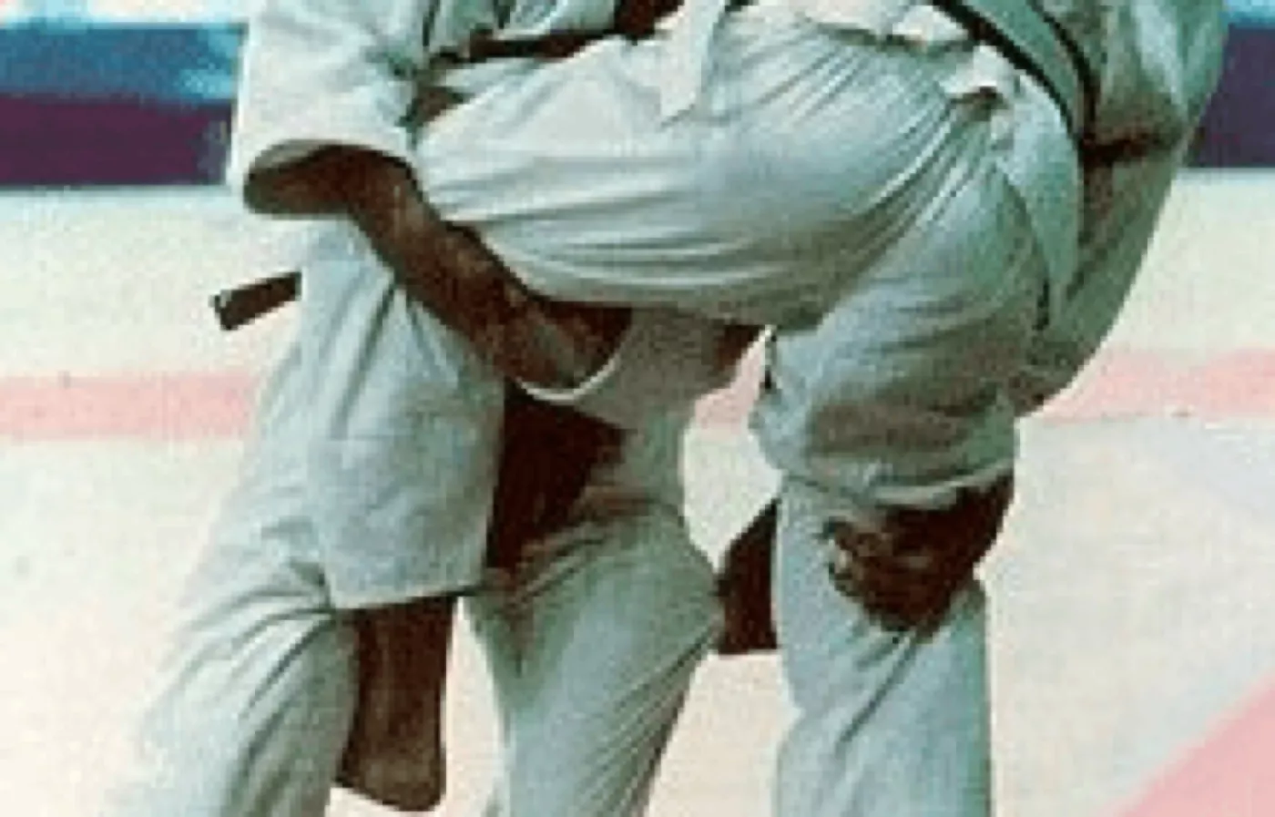 IJF Interpretatie nieuwe regels 2013